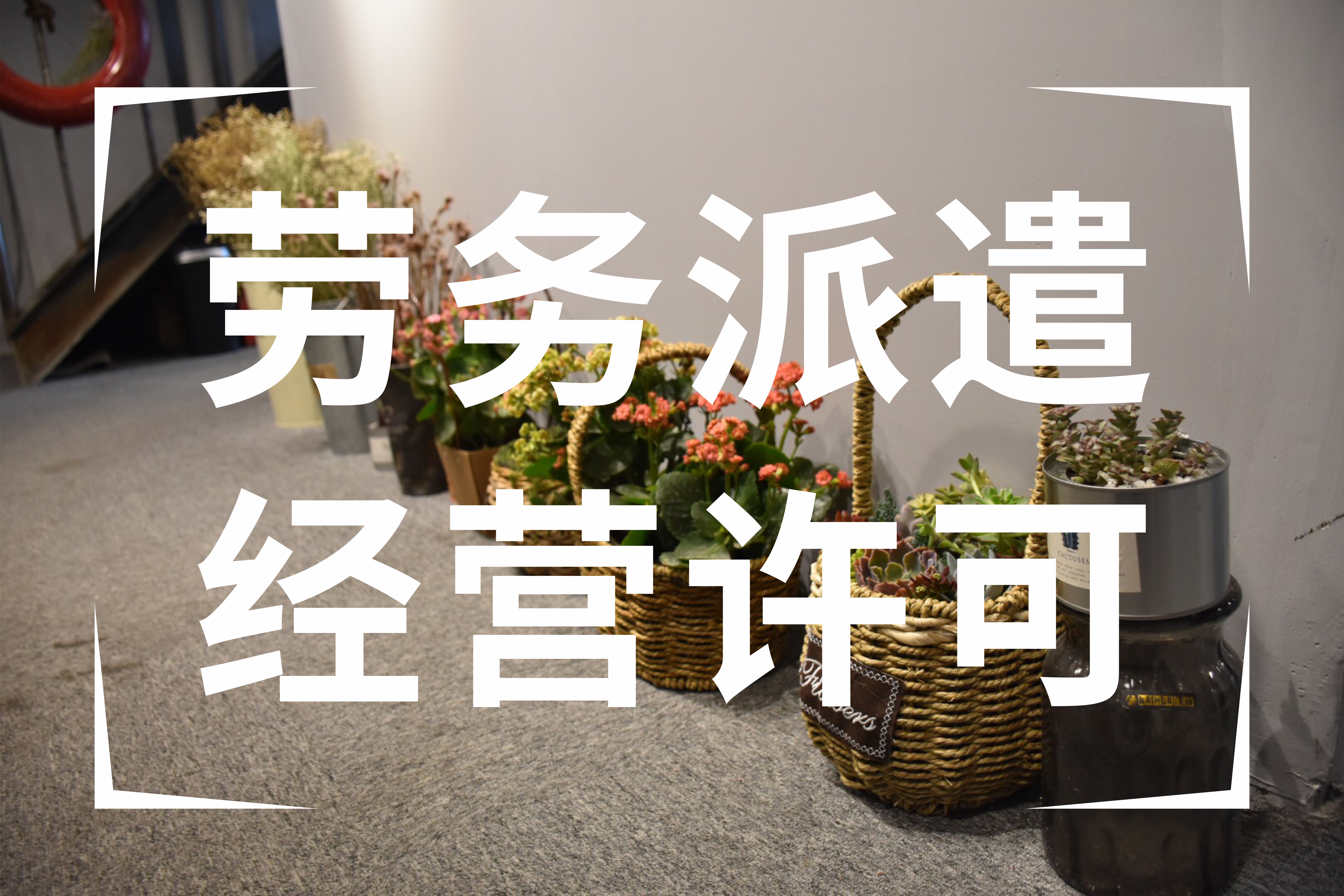 劳务派遣许可证