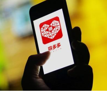 拼多多店铺营业执照怎么注册.png