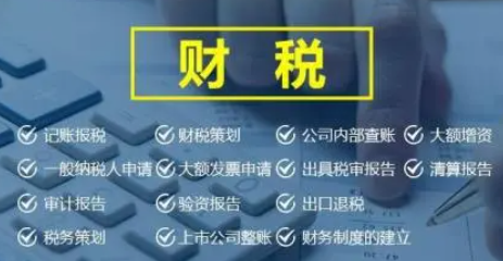 言成可提供的记账报税内容截图.png